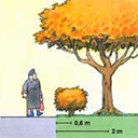 Bild avstånd för trädplantering Fig.5