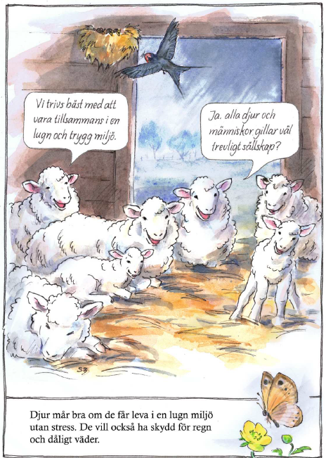 Bildinformation om får 