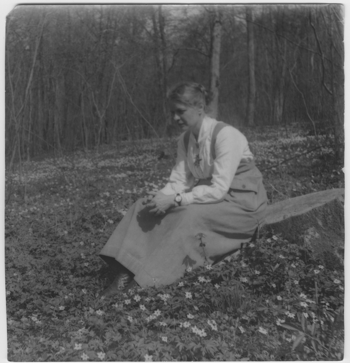 "Fil.kand. Elisabet Petersson sittande bland vitsippor i ädellövskog" - foto: Göteborgs Naturhistoriska museums Årstryck 1920
