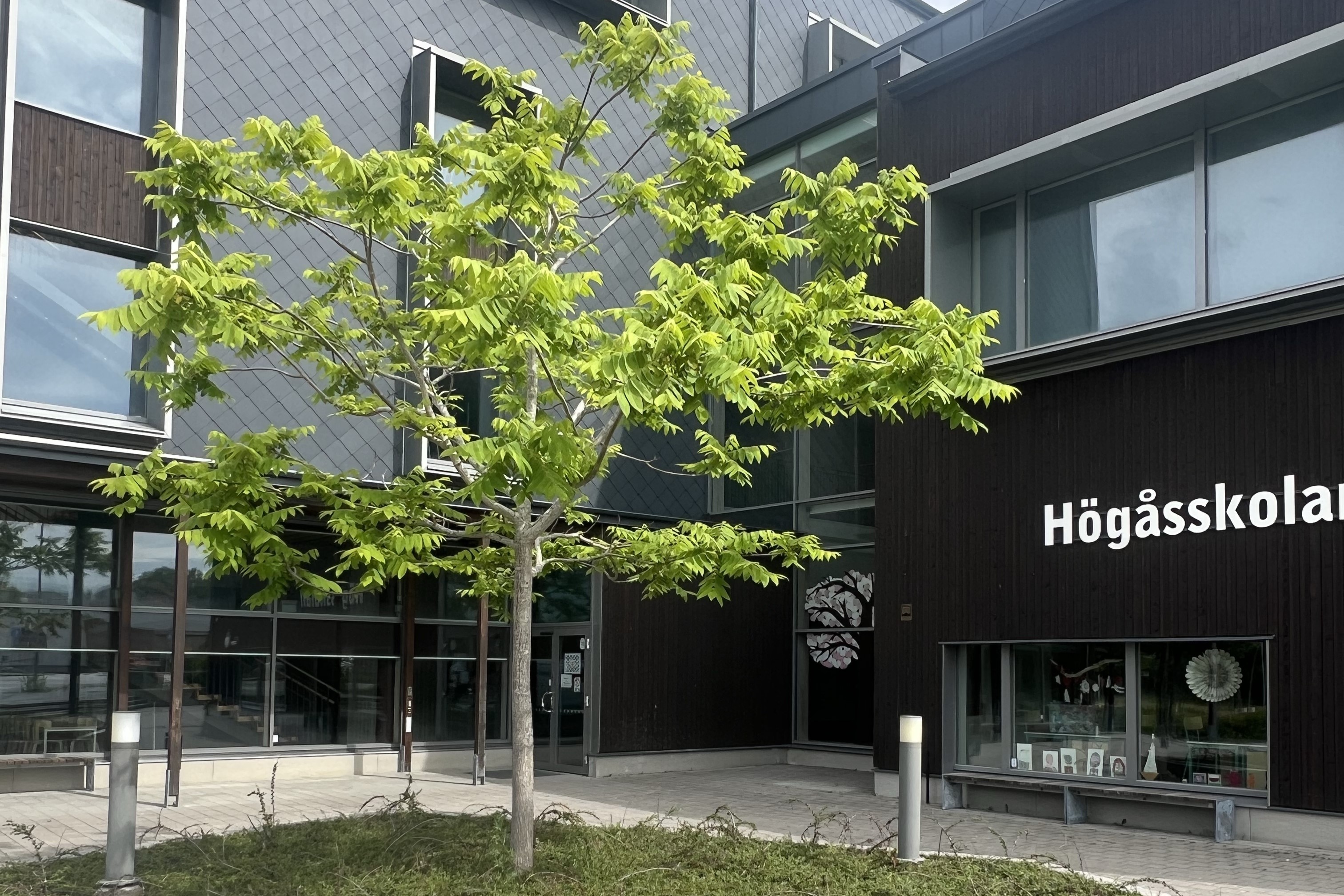 En svart skolbyggnad med blå himmel som bakgrund