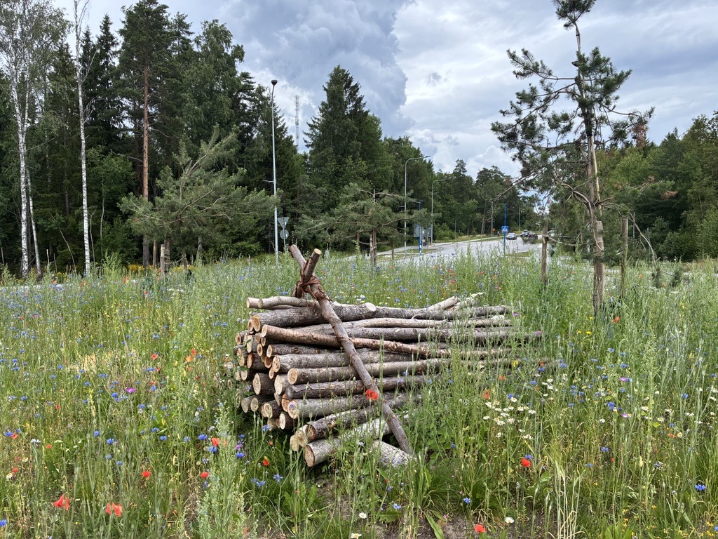 ängsblommor i en rondell